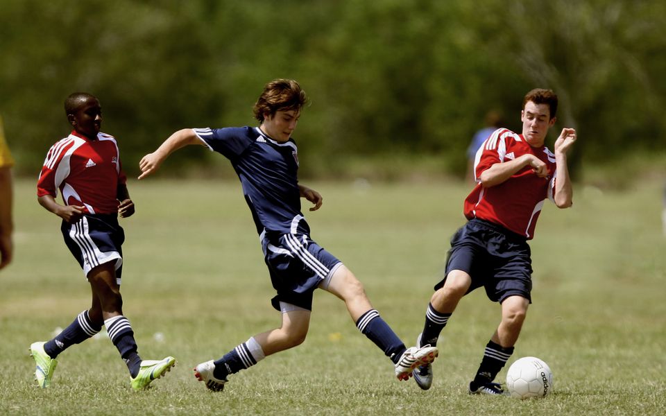 xc sports体育官网首页 - 体育教育安全登录注册入口